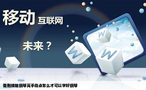 我刚接触钢琴高手指点怎么才可以学好钢琴