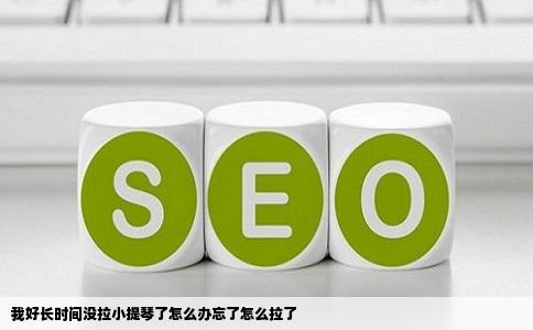 我好长时间没拉小提琴了怎么办忘了怎么拉了