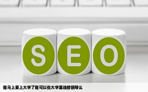 我马上要上大学了我可以在大学里选修钢琴么