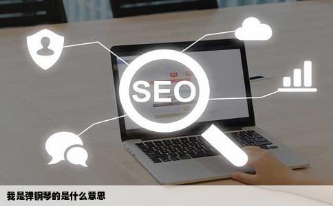 我是弹钢琴的是什么意思