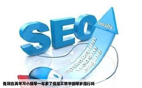 我现在再学习小提琴一年多了但是又想学钢琴岁得行吗