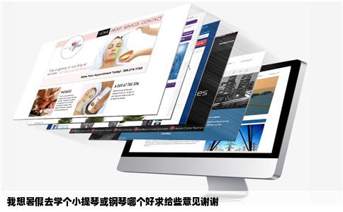 我想暑假去学个小提琴或钢琴哪个好求给些意见谢谢