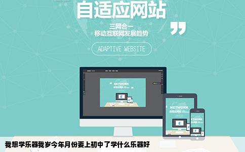 我想学乐器我岁今年月份要上初中了学什么乐器好