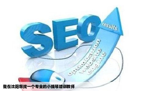 我在沈阳想找一个专业的小提琴培训教师