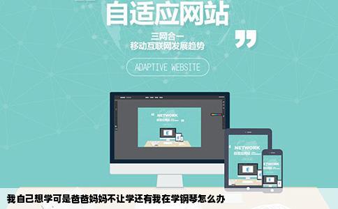 我自己想学可是爸爸妈妈不让学还有我在学钢琴怎么办