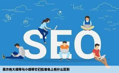 西方有大提琴与小提琴它们在音色上有什么区别