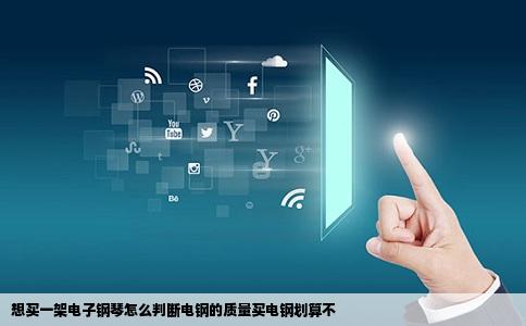 想买一架电子钢琴怎么判断电钢的质量买电钢划算不