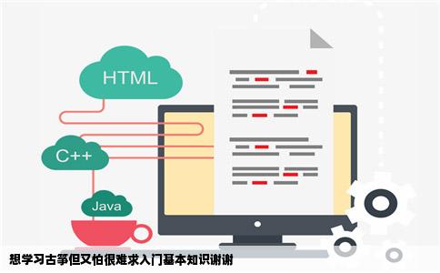 想学习古筝但又怕很难求入门基本知识谢谢
