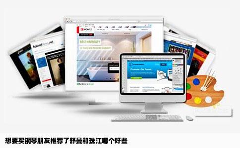 想要买钢琴朋友推荐了舒曼和珠江哪个好些