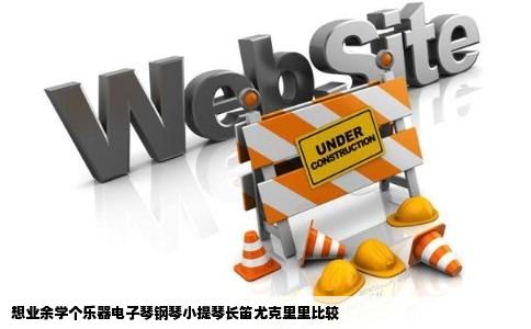 想业余学个乐器电子琴钢琴小提琴长笛尤克里里比较