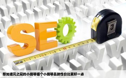 想知道元之间的小提琴哪个小提琴品牌性价比更好一点