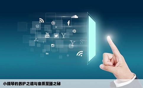 小提琴的养护之道与音质至臻之秘