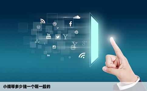 小提琴多少钱一个啊一般的