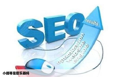 小提琴是管乐器吗