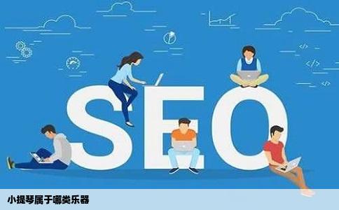 小提琴属于哪类乐器