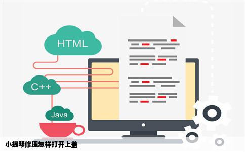 小提琴修理怎样打开上盖