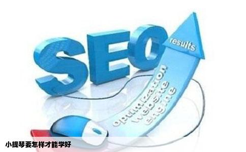 小提琴要怎样才能学好