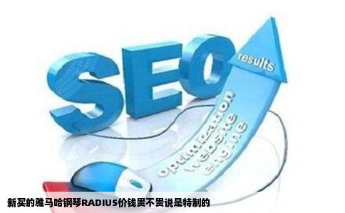 新买的雅马哈钢琴RADIUS价钱贵不贵说是特制的