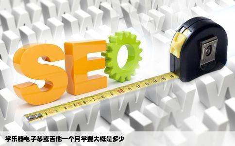 学乐器电子琴或吉他一个月学费大概是多少