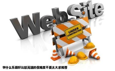 学什么乐器好比较高端的但难度不要太大求推荐