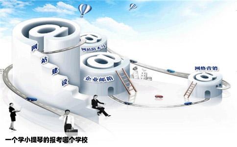 一个学小提琴的报考哪个学校