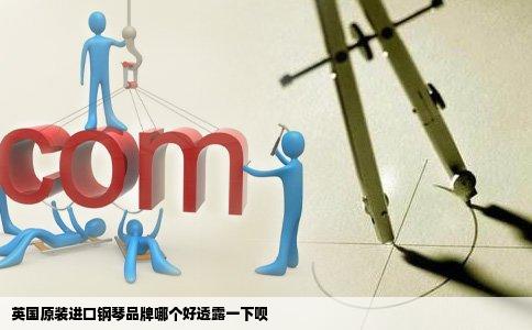 英国原装进口钢琴品牌哪个好透露一下呗