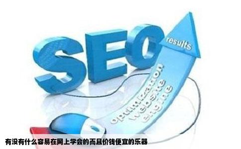 有没有什么容易在网上学会的而且价钱便宜的乐器