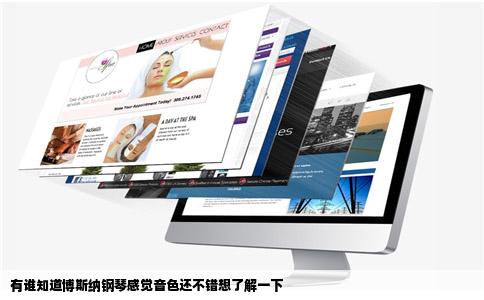 有谁知道博斯纳钢琴感觉音色还不错想了解一下