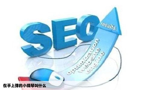 在手上弹的小提琴叫什么