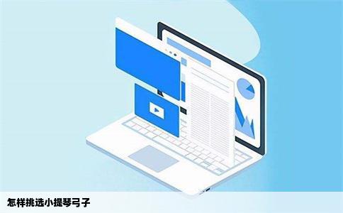 怎样挑选小提琴弓子