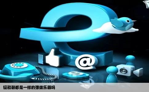 钲和磬都是一样的弹拨乐器吗