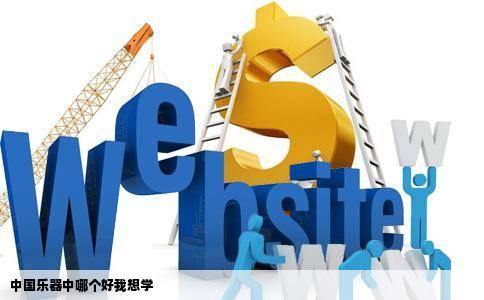 中国乐器中哪个好我想学