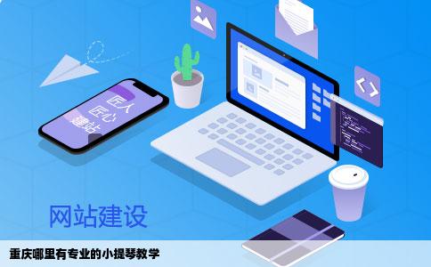 重庆哪里有专业的小提琴教学