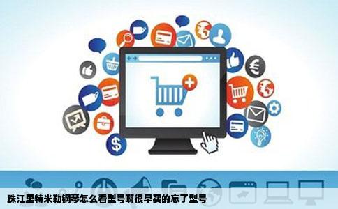 珠江里特米勒钢琴怎么看型号啊很早买的忘了型号